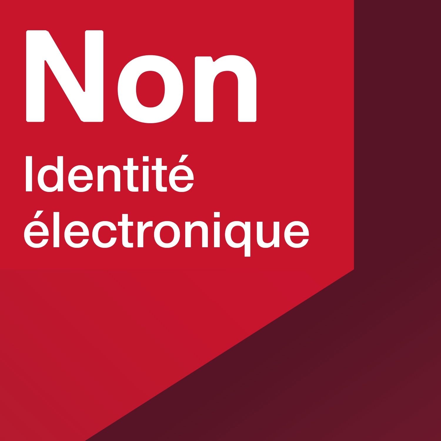 Loi fédérale sur les services d’identification électronique (E-ID) : NON à la privatisation des documents d’identité numérique ! 