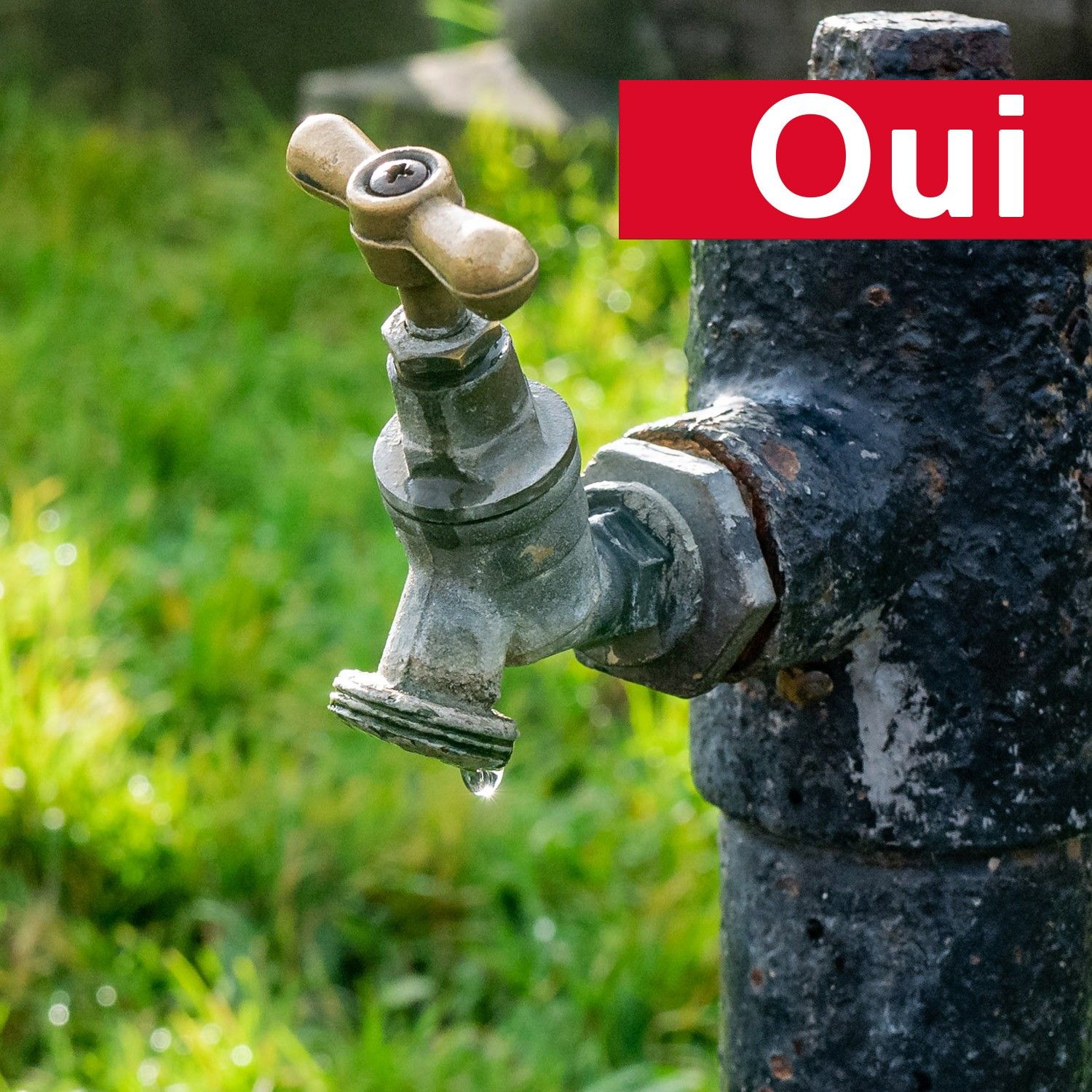 Pour garantir une eau potable !